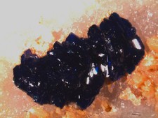 Azurite raro minerale usato  Grizzana Morandi