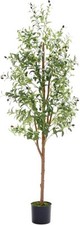 6ft artificial olive for sale  SALFORD
