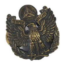 Civil air patrol for sale  Chesapeake