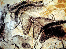 Chauvet cave horses for sale  Lansdale