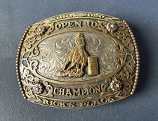 Barrel racing champion for sale  Oklahoma City