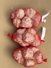 Bulbi aglio rosso usato  Valva