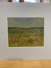 Norfolk poppies oil for sale  KING'S LYNN