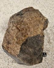 Meteorite nwa 17254 d'occasion  Pernes-les-Fontaines