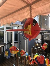 Large tropical fish for sale  GILLINGHAM