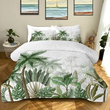 3pcs coconut tree for sale  USA