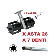 Gruppo zappette per usato  Napoli