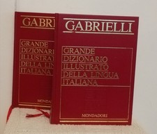 Grande dizionario illustrato usato  Savona