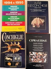 Conchiglie per collezionisti usato  Riccione