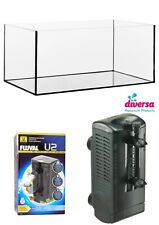 Diversa aquarium fish for sale  BIRMINGHAM