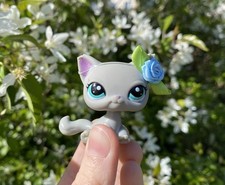 Littlest Pet Shop lps cat sitting shorthair #2185 authentic exclusive rare na sprzedaż  PL