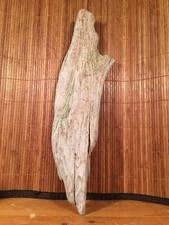 Beautiful driftwood art for sale  Coupeville