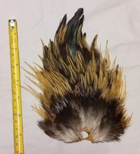 fly tying capes for sale fly tying capes for sale RICHMOND