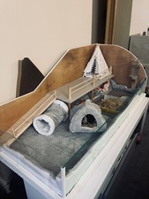 Large guinea pig for sale  ANDOVER