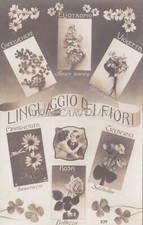 eliotropio usato eliotropio usato Roma