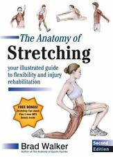 Anatomy stretching second for sale  Santa Ana