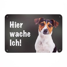 Jack russel terrier gebraucht kaufen  Pfaffenhofen a.d.Ilm