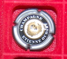 Plaque muselet champagne d'occasion  Chambéry