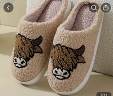 Ladies highland cow for sale  ABERTILLERY