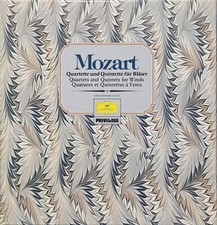 Mozart quartetti quintetti usato  Napoli