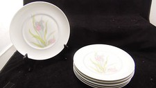 Lot assiettes plates d'occasion  Saint-Dié-des-Vosges