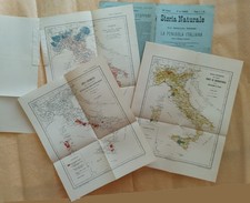 Dispensa con tavole usato  Reggio Emilia