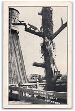 Cartão postal vintage c1940 cão após raposa cabine casa escultura animal Lucas Kansas KS, usado comprar usado  Enviando para Brazil