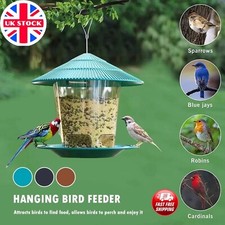 Hanging wild bird for sale  NEWCASTLE UPON TYNE