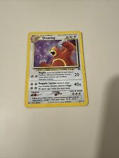 Ursaring holo ita usato  Pomaretto
