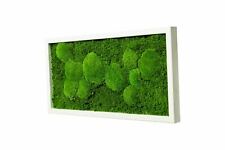 Moosbild wandbild echtes gebraucht kaufen  Jemgum