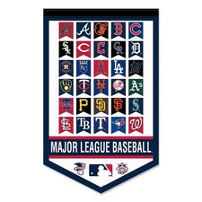 Baseball league teams for sale  Waukegan