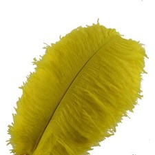 Piume struzzo sowder usato  Grottammare