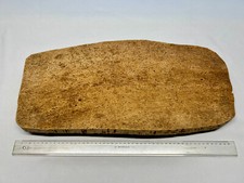 Kork rindenstück platte gebraucht kaufen  Meckenheim