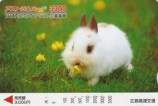 Japan animal albino d'occasion  Expédié en Belgium