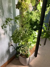 Gardyn 3.0 hydroponic for sale  Chandler