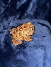 fortune toad carved wood for sale fortune toad carved wood for sale Denver