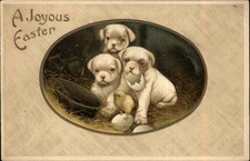 Easter sweet puppy for sale  South Portland