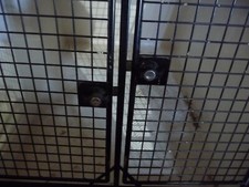 Lintran db5 dog for sale  ALNWICK
