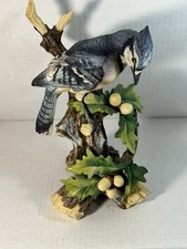 blue jay bird for sale  Lithia Springs