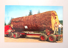 Vintage postcard oregon for sale  Fort Ann