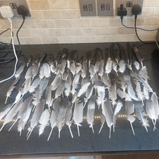 Feathers natural fallen for sale  BATH