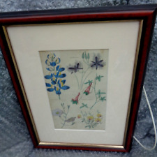 antique botanical prints for sale  BURNLEY