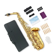 Sax alto com estojo, bocal, alças, palhetas saxofone kit para iniciantes para adultos comprar usado  Enviando para Brazil