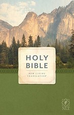 Nlt holy bible for sale  UK