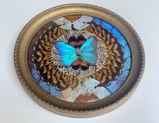 Vintage tableau ailes d'occasion  Charenton-le-Pont