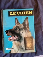 Chien d'occasion  Fresnes-sur-Escaut