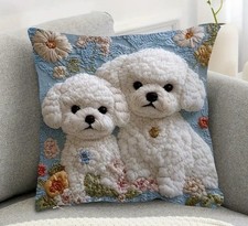 bichon maltese for sale bichon maltese for sale HALESOWEN