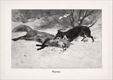 Abgewürgt jagdbild reinecke gebraucht kaufen  Grabenstätt