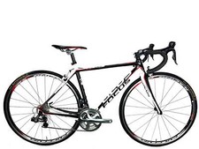 Used focus cayo for sale  Carson