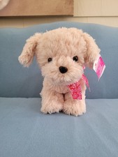 Valentine day puppy for sale  Providence